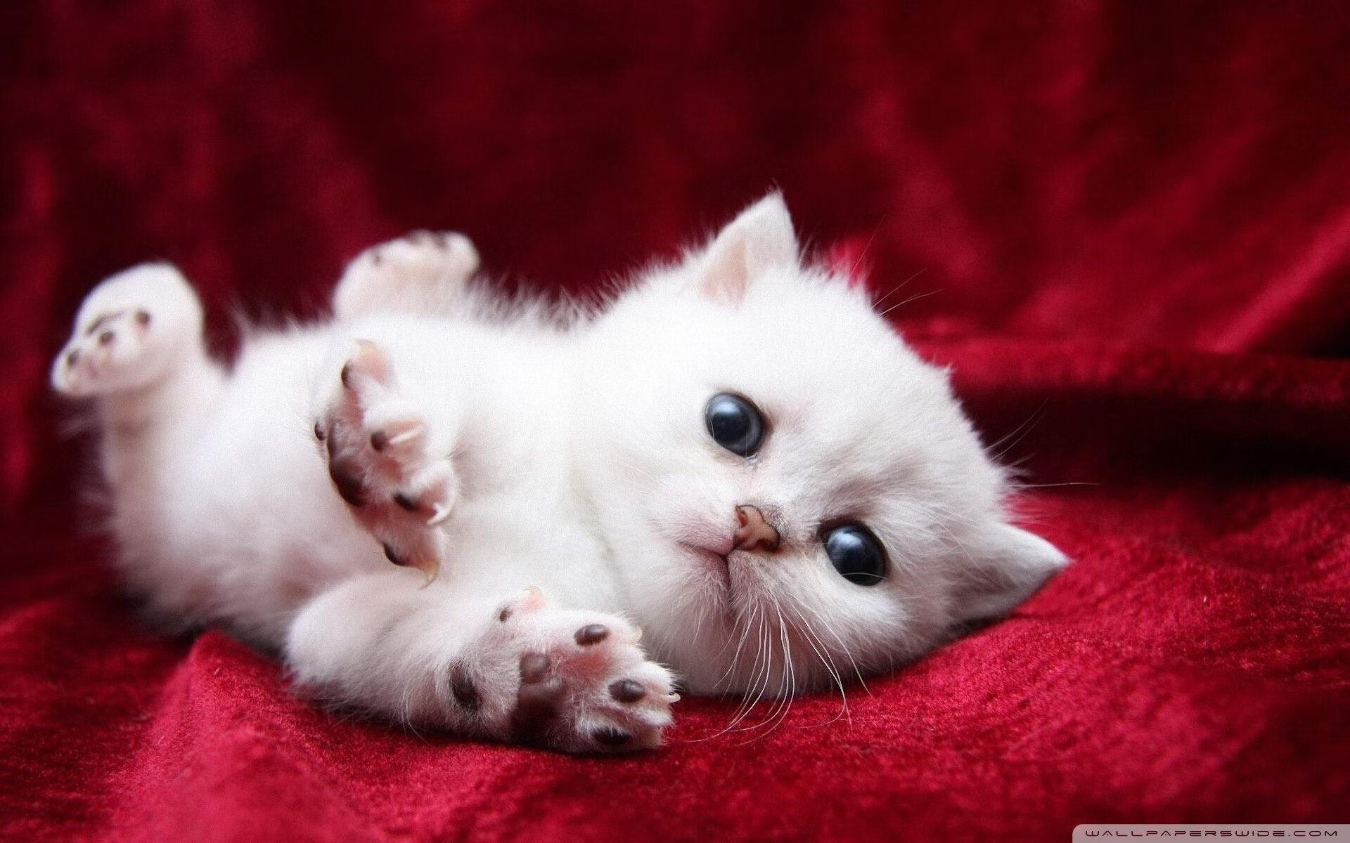 跨界启示,NBA季后赛之夜与哈兰德的统治级数据对话